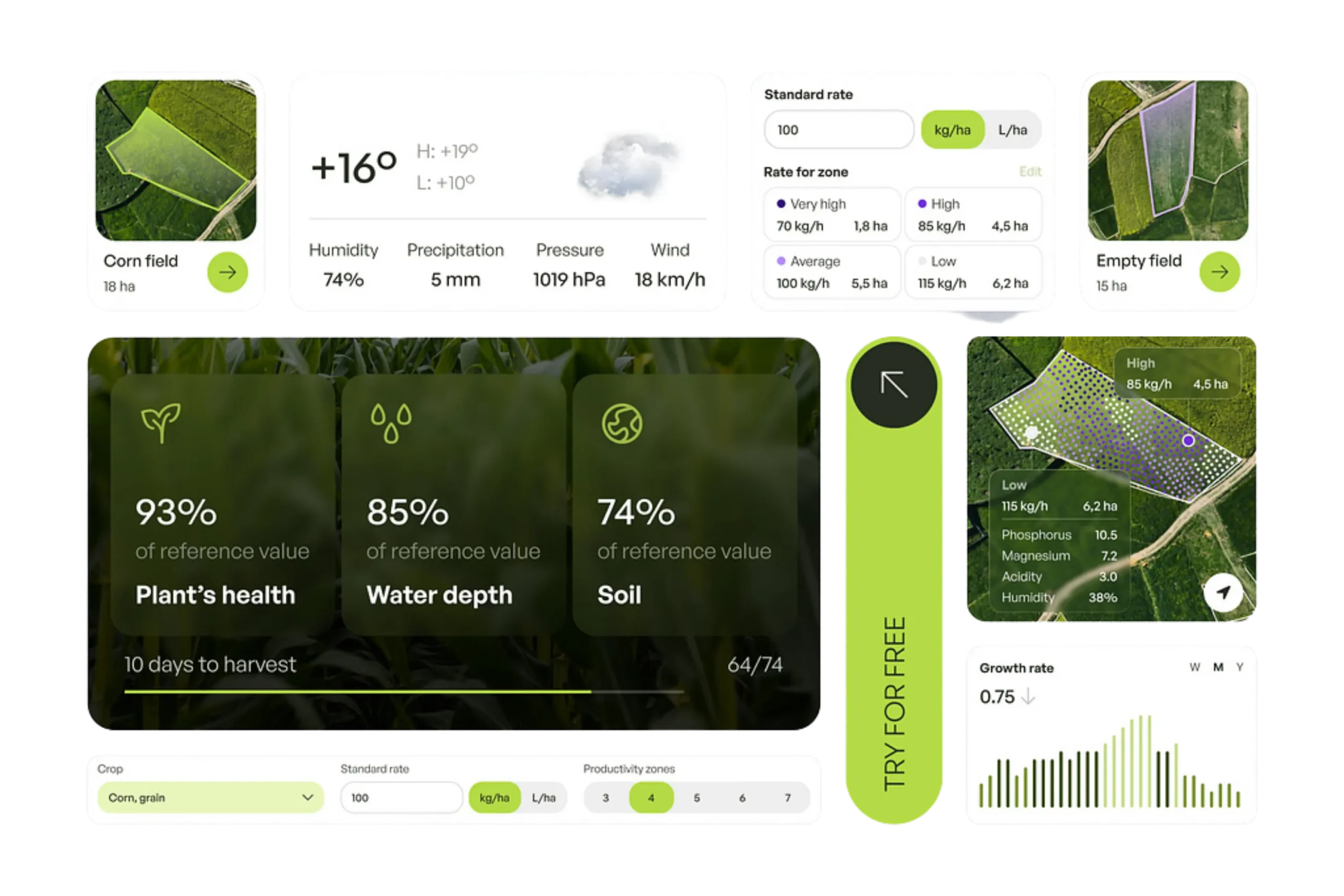 Automated Features and Multi-Language Support
