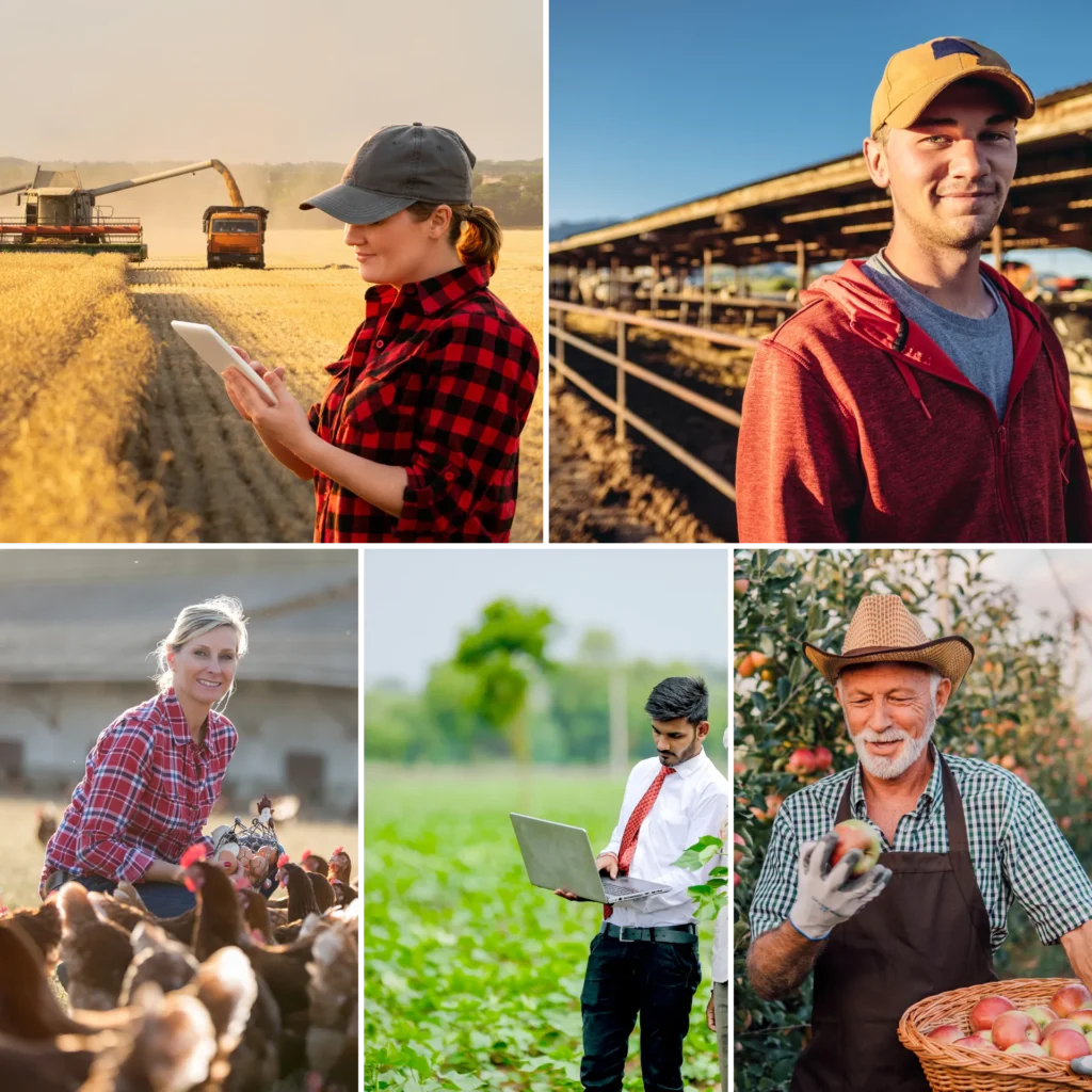 Fields Management Dashboard