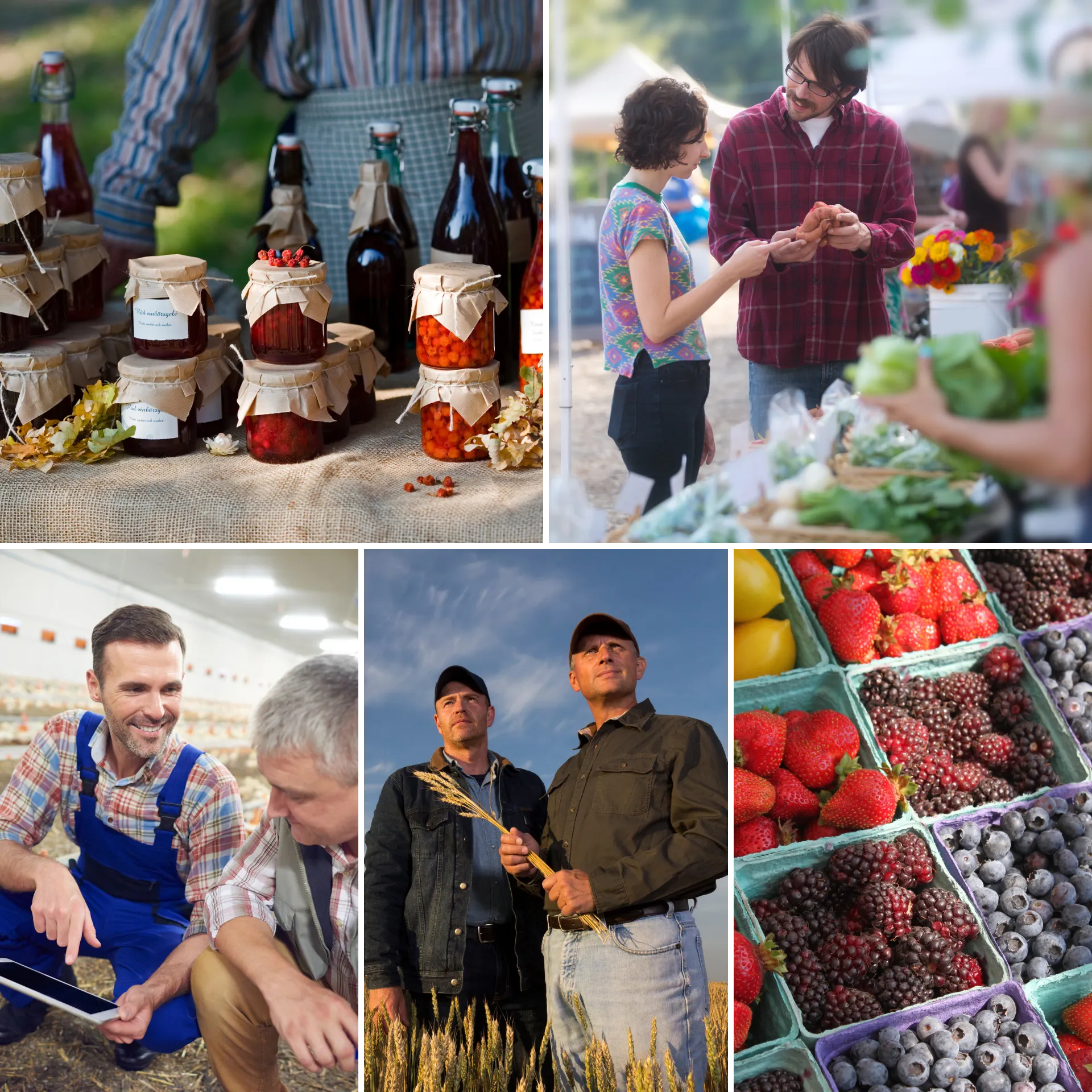 Weather Dashboard Interface