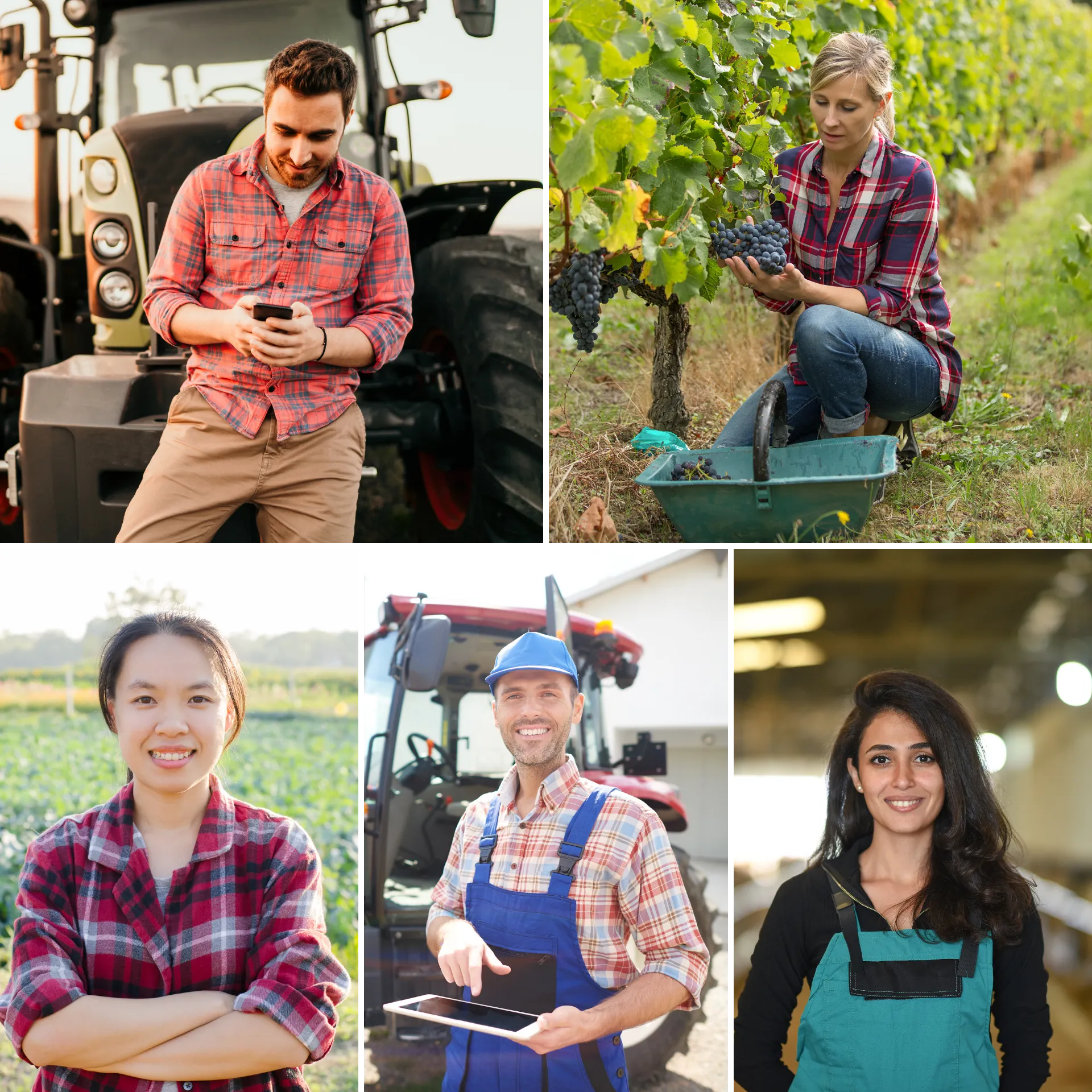 Fields Management Dashboard